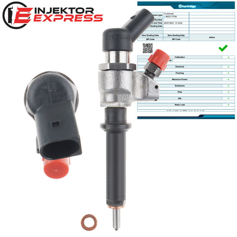 9652173780 Siemens Injektor Einspritzdüse Suzuki Peugeot Citroen Berlingo C5 2.0 HDi 9636819380